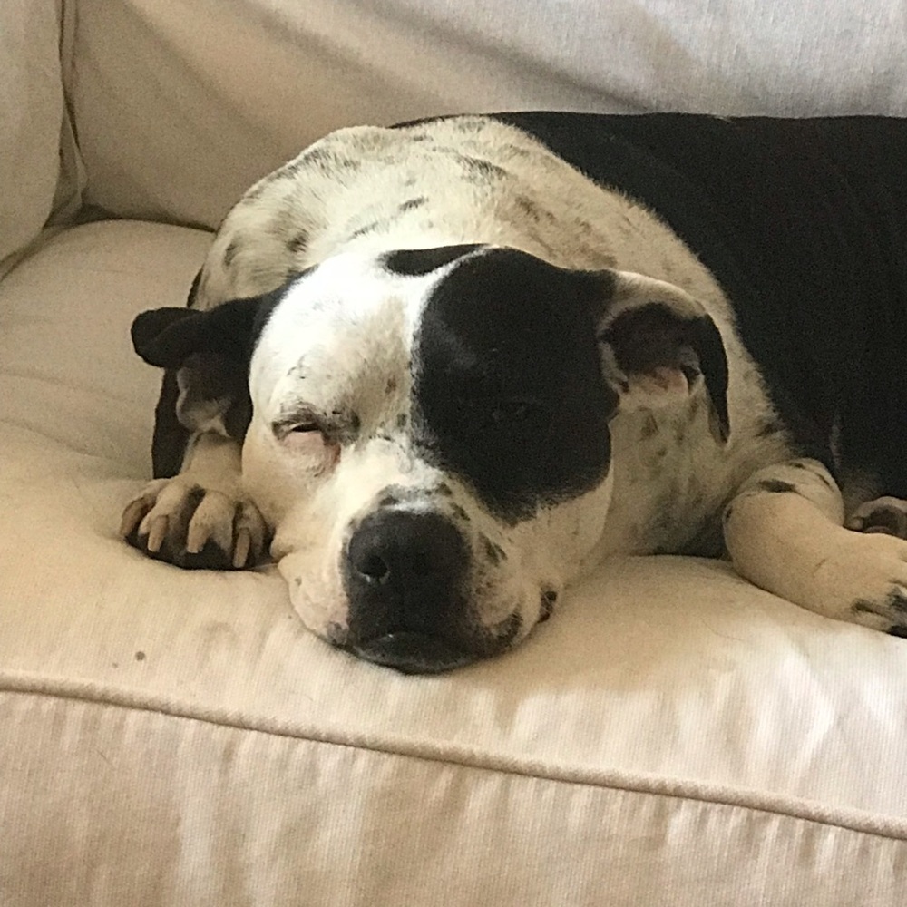 Meet your Posher, Lexi